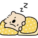 팬스타미라클 이미지