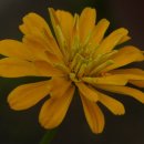 상동초등학교 이미지