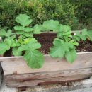 경인고등학교 이미지