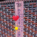 (주)해돋이나무