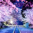 햇빛 찬란한 그 길 이미지