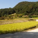 공주목사공16세 堥의 6째부인 大邱徐氏와 아들 17세 夏慶家 墓園 이미지