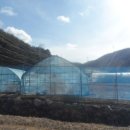 원동우사 이미지