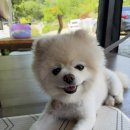 다락방매점 | 가평 계곡 추천 | 취사 가능한 평상 대여 넓은 다락방 화악산 계곡 당일치기 후기