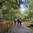 주나참숯불갈비 이미지