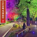 충주 수안보 족욕체험장 밤에도 아름다운 무료 온천 족욕길