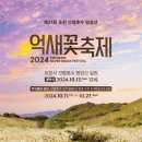 제27회 포천 산정호수 명성산 억새꽃 축제 | 포천시 제27회 포천 산정호수 명성산 억새꽃 축제 개최