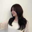 마이티헤어
