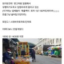 스테비아 토마토 직접 만들기에 도전한 디씨인 이미지