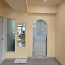 별이알이 댕댕샵 이미지