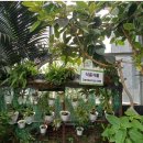 둔산대로 이미지