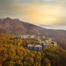 이마트24 강화양도 이미지