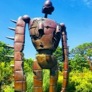 킹 태권도장 이미지