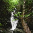 장밭골집 | 선암사-조계산-송광사