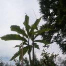 천남농장 이미지