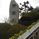 목포막회