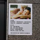 타이마이더스