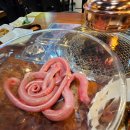 복촌 숯불꼼장어와곱창 | [신기시장 맛집] 서가네꼼장어랑막창 수조에서 바로잡은 싱싱한 산꼼장어 숯불구이 제대로 하는집...