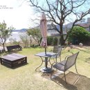 로뎀트리 이미지