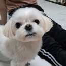 뷰티라움 이미지
