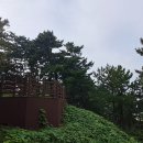 죽도봉공원 Daum카페