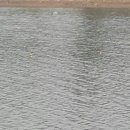 기천낚시터 이미지