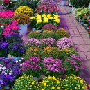 와인 소믈리에[B반] 이미지