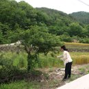 두메산골 이미지