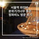 청파피아노 | 서울역 와인바 분위기가 너무 좋은 청파비노 방문 후기