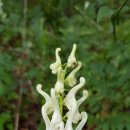 진범목장 이미지