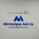 마이크로알지에스크어스 이미지