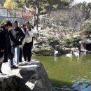 순심여자중학교 이미지