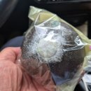 안서목장 이미지