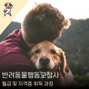 반려동물행동교정사 | 반려동물행동교정사 월급 및 자격증 취득 과정