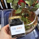 두레연구품당 2024 세계국제불교박람회 야단법석 비하인드스토리