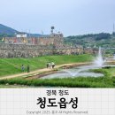 봉화군청 동편 뒤 | 경북 청도 여행 마지막으로 청도읍성 둘러보기