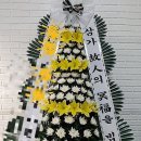 남일 약국 이미지