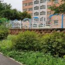 영선초등학교 담장 이미지