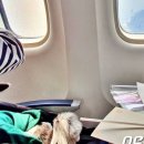 어나더하이 이미지