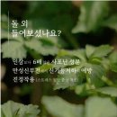 영물물