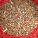 꽃차&약선차 이미지