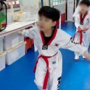 동탄MTA태권도장 이미지