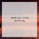 미술감상과 비평 네이버블로그