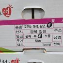 가정용 추희자두 판매합니다 이미지