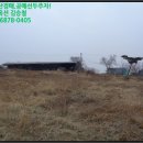 벌말목장 이미지