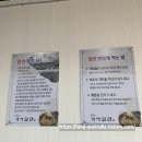 테크노산업로 | 양많고 가성비 좋은 현지인 추천 울산 밀면 맛집! &#39;테크노 가야밀면&#39; 메뉴, 가격, 주차 점심후기