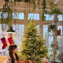 감성커피평택송탄점 | 평택 크리스마스 트리 카페 미드바르앳홈 수플레 팬케이크 송탄 카페