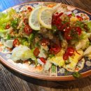 주주애견 이미지