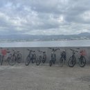 비양도 민박 이미지