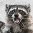 태경축산 이미지